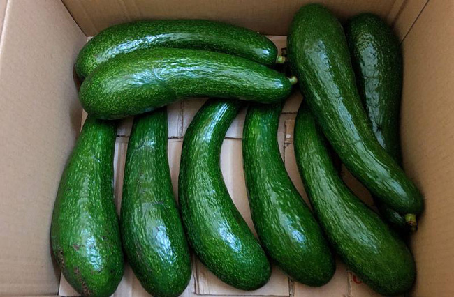 bi-quyet-chon-bo-ngon-va-cach-bao-quan-bo