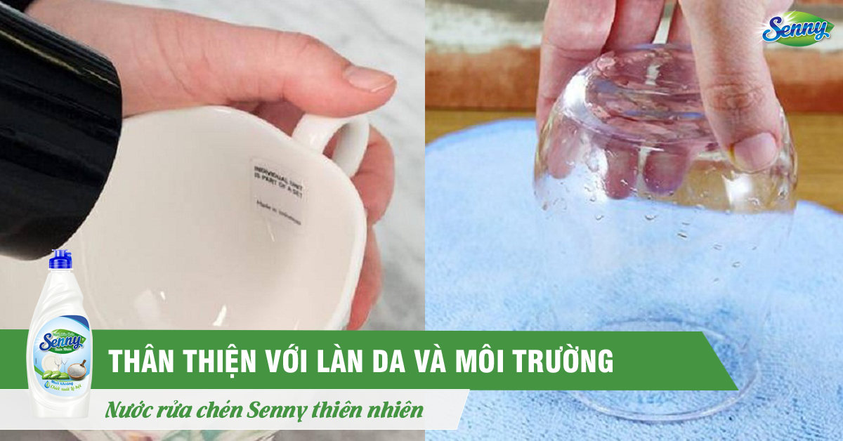 Senny Lô Hội đồng hành cùng sức khỏe gia đình bạn