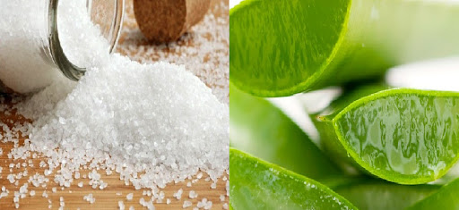 thành phần nước rửa chén senny lô hội