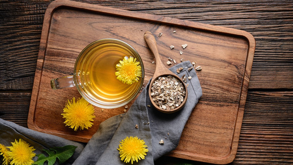 trà bồ công anh tăng cường sức đề kháng