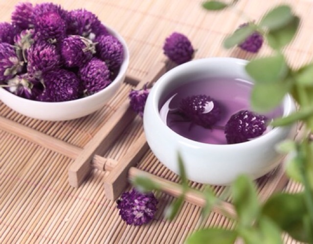 trà hoa cúc tím tăng cường sức đề kháng