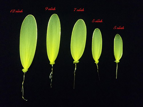 Lam-do-trang-tri-Tet-handmade-5