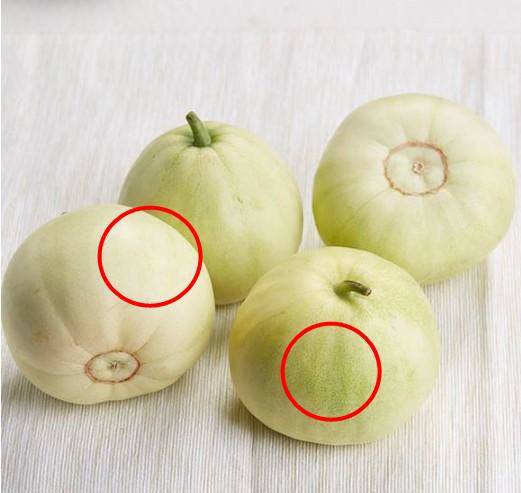 Mua dưa lê, chọn quả rốn to hay nhỏ thì ngọt, người trồng mách bí kíp ít người biết - 1