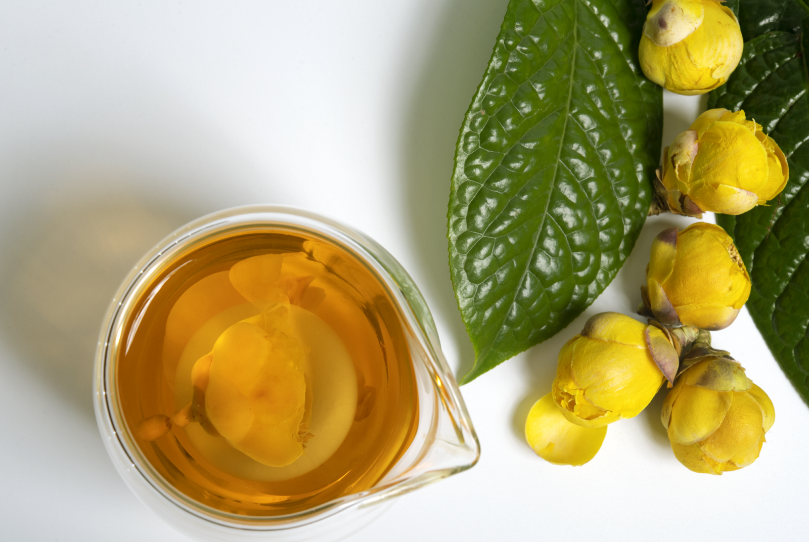 Hình ảnh hoa và lá trà Hình ảnh hoa và lá trà