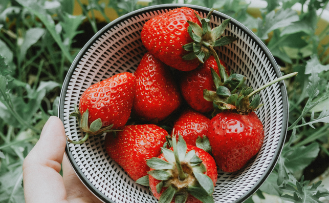 Cách chọn và bảo quản dâu tây ngon ngọt và mọng nước, để cả tuần không thâm nhũn - Ảnh 3.