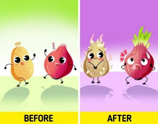 9 loại rau củ không nên bảo quản cùng nhau - Ảnh 3.