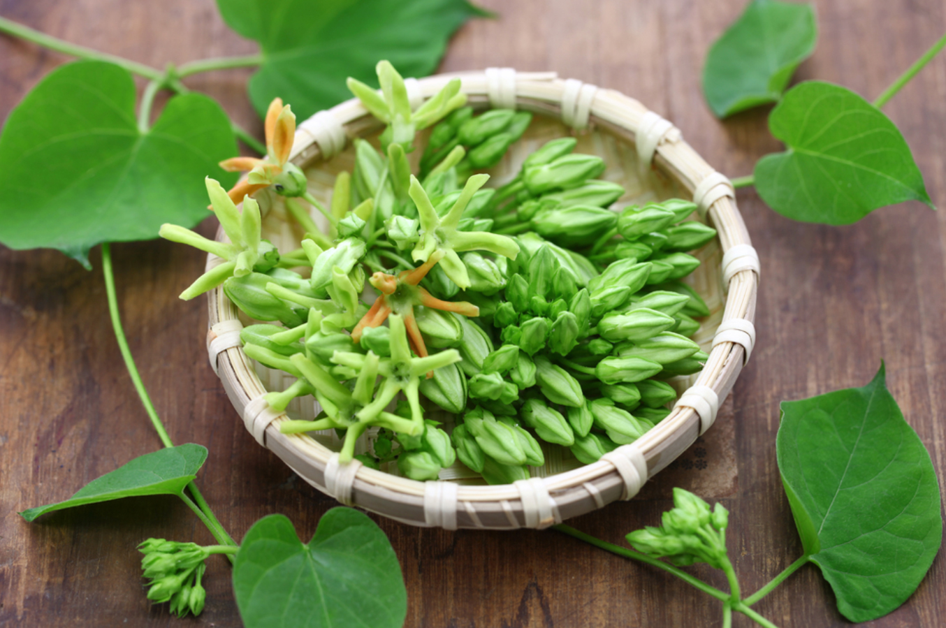 Hoa thiên lý kỵ gì