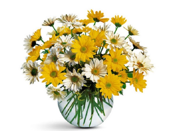 huong-dan-cach-cam-hoa-ngay-tet-16