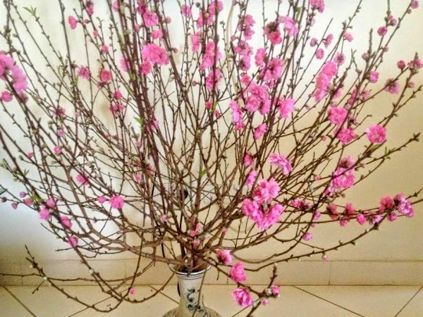 huong-dan-cach-cam-hoa-ngay-tet-7