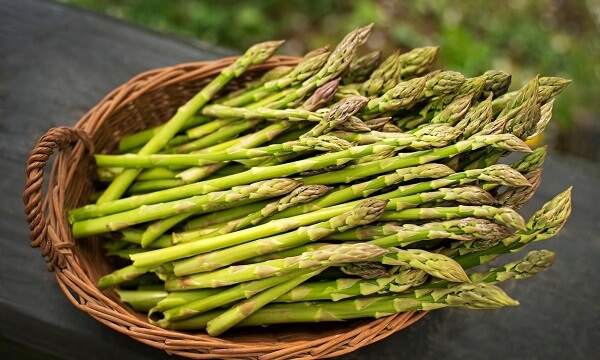 Măng tây Măng tây