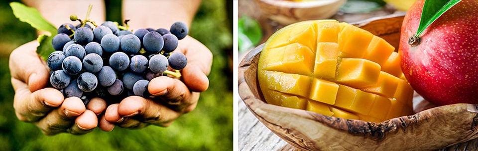 9 loại rau củ không nên bảo quản cùng nhau - Ảnh 7.