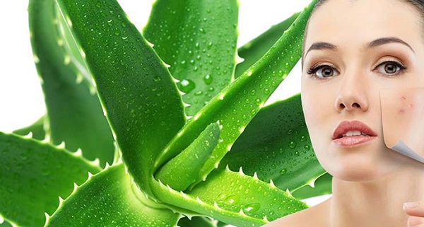 lo-hoi-than-duoc-doi-thuong-co-trong-nuoc-rua-chen-senny-2