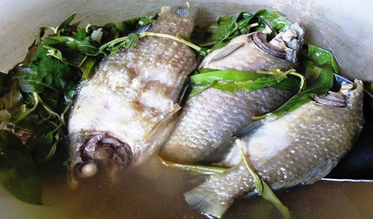 cá diếc cá diếc