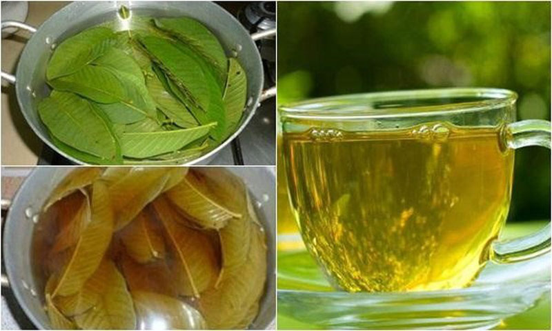 8 lợi ích của việc uống nước lá ổi thường xuyên - Ảnh 1. 8 lợi ích của việc uống nước lá ổi thường xuyên - Ảnh 1.