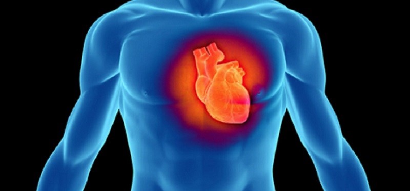 Tra-trang-la-gi-tac-dung-tuyet-voi-cua-tra-trang-den-suc-khoe-3