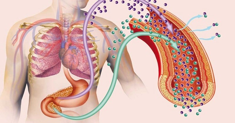 Tra-trang-la-gi-tac-dung-tuyet-voi-cua-tra-trang-den-suc-khoe-6