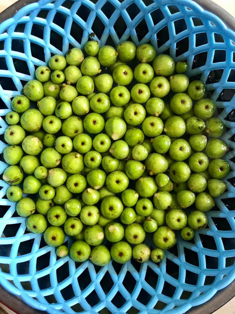 tu-lam-sung-muoi-xoi-va-muoi-chua-ck-tam-tac-khen-ngon-4