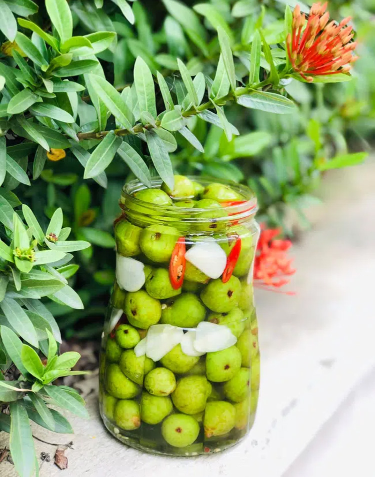 tu-lam-sung-muoi-xoi-va-muoi-chua-ck-tam-tac-khen-ngon-5