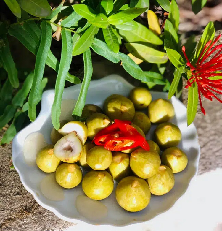 tu-lam-sung-muoi-xoi-va-muoi-chua-ck-tam-tac-khen-ngon-6