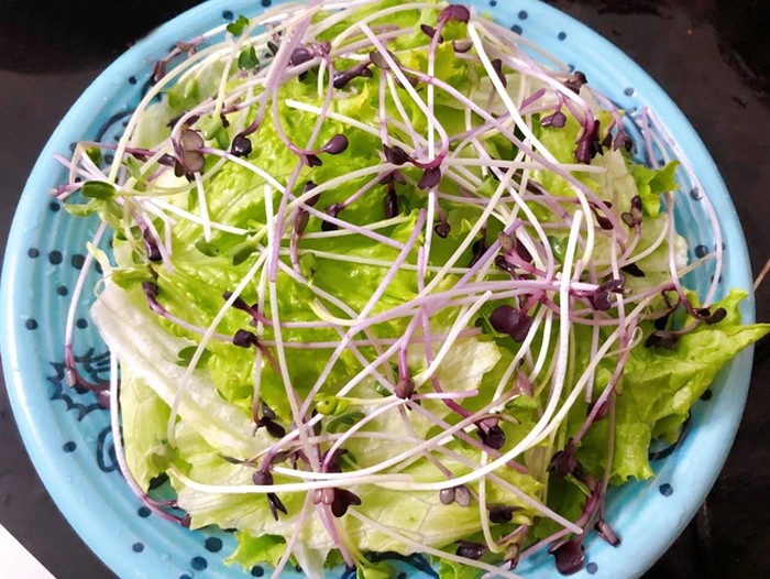 salad-rau-mam-ngon-giam-can-4