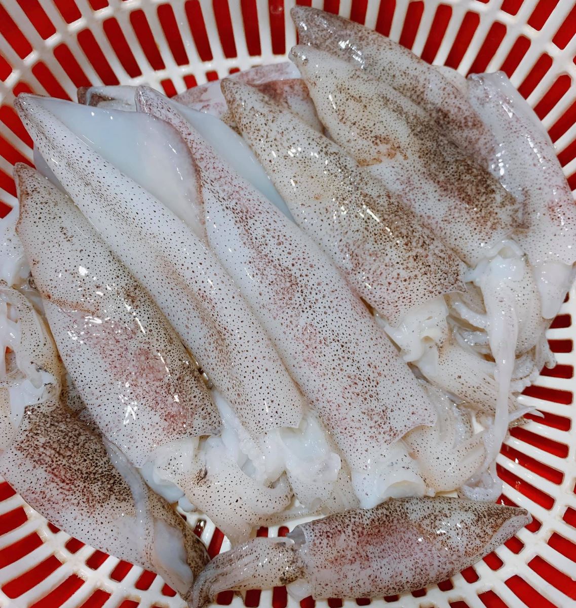 sơ chế mực trứng sơ chế mực trứng