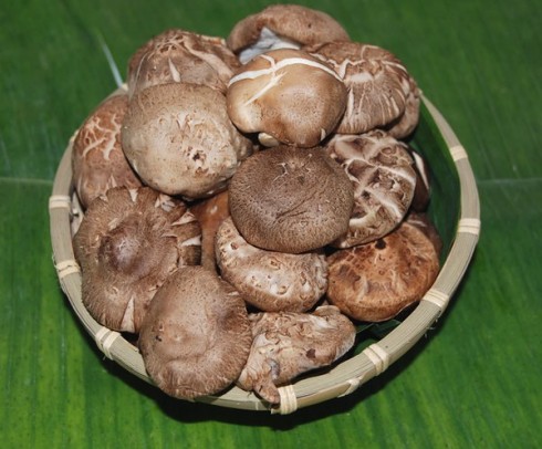 1-rau-qua-co-loi-1-1439692663992