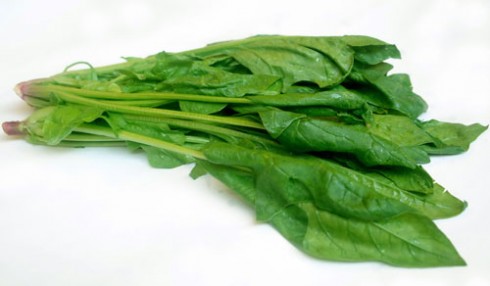 7-rau-qua-co-loi-7-1439692658574