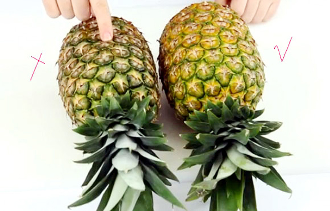 Tự trồng dứa tại nhà