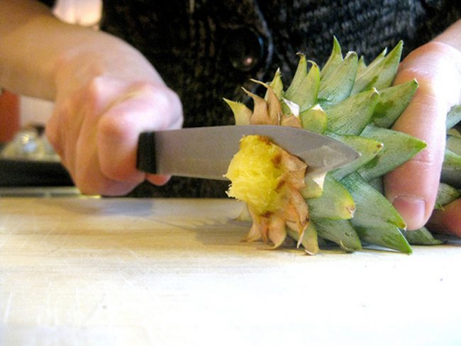 Tự trồng dứa tại nhà