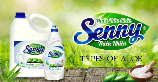 Nước rửa chén thiên nhiên Senny