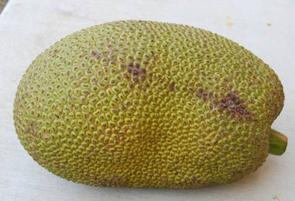 Phân biệt mít chín tự nhiên với phun thuốc