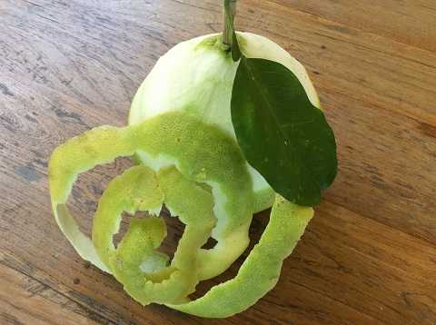 công dụng của vỏ bưởi