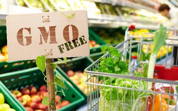 nhận biết rái cây biến đổi gen.