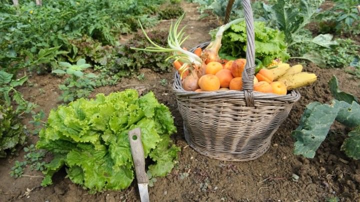 Tìm những nguồn cung cấp đáng tin cậy.