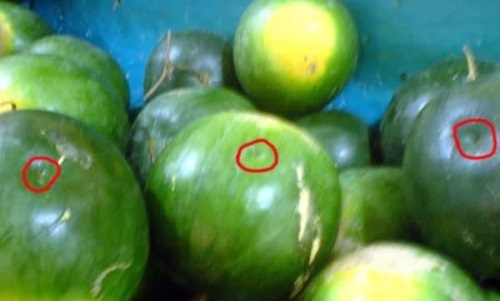 hoa quả mùa hè, hoa quả tiêm thuốc, hoa quả chín nhờ thuốc