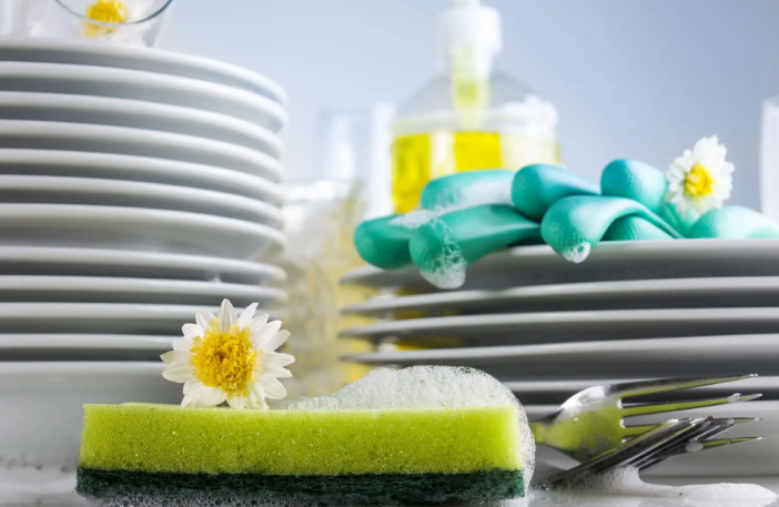 nước rửa chén chiết xuất lô hội senny