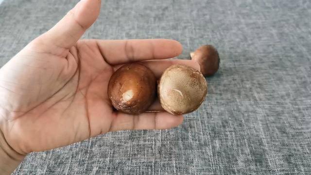 mua nam huong tuoi nen chon cai to hay cai nho thi thom, nguoi ban bat mi bat ngo - 3