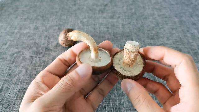 mua nam huong tuoi nen chon cai to hay cai nho thi thom, nguoi ban bat mi bat ngo - 4