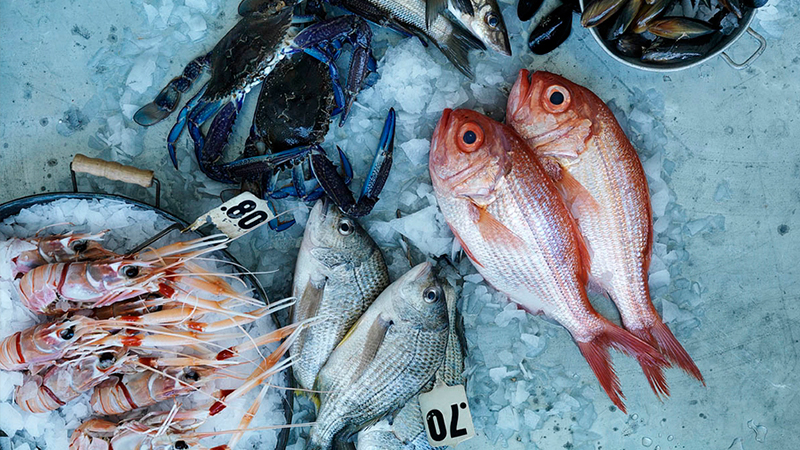 cá tươi