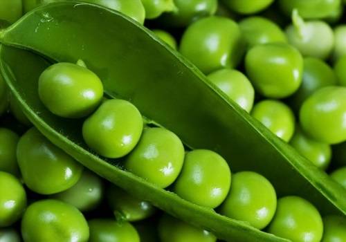 rau củ tốt cho bà bầu