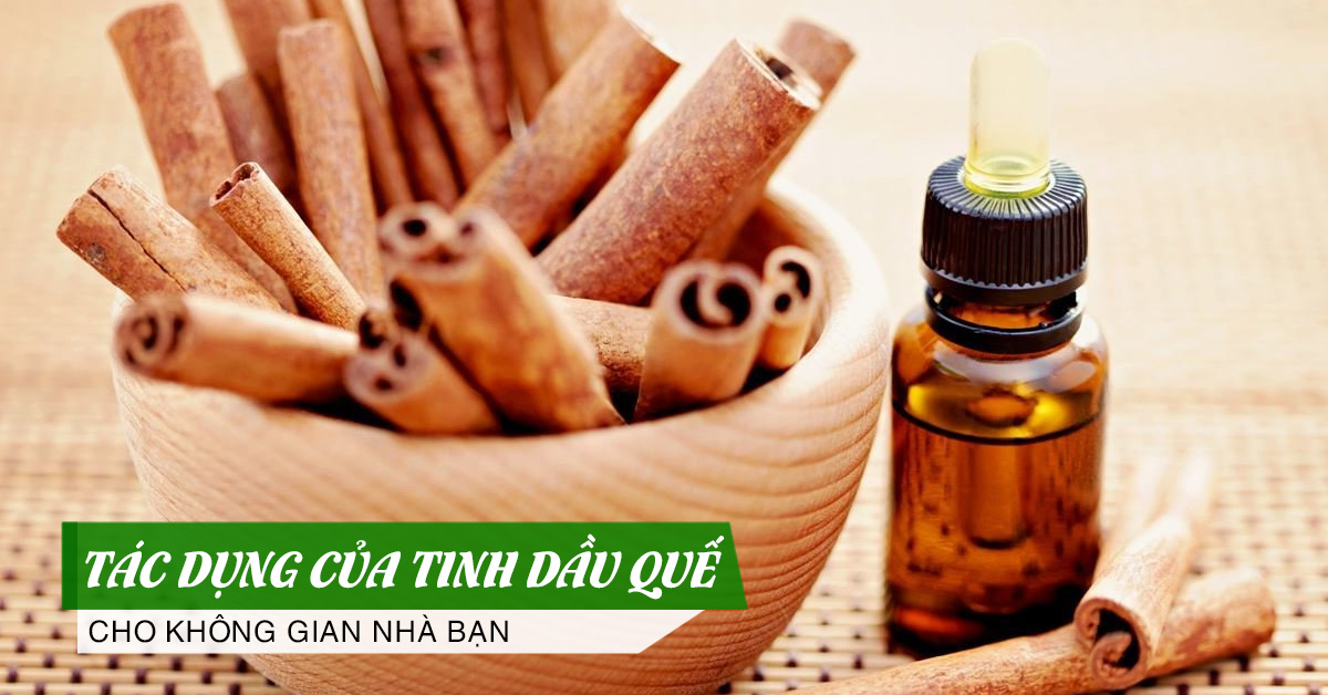 tác dụng của tinh dầu quế