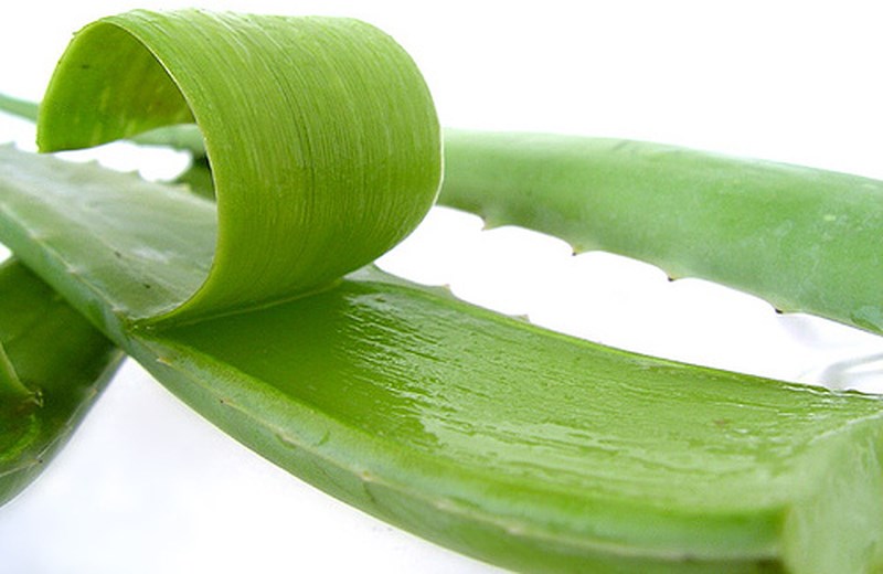 cách nấu nước nha đam đường phèn