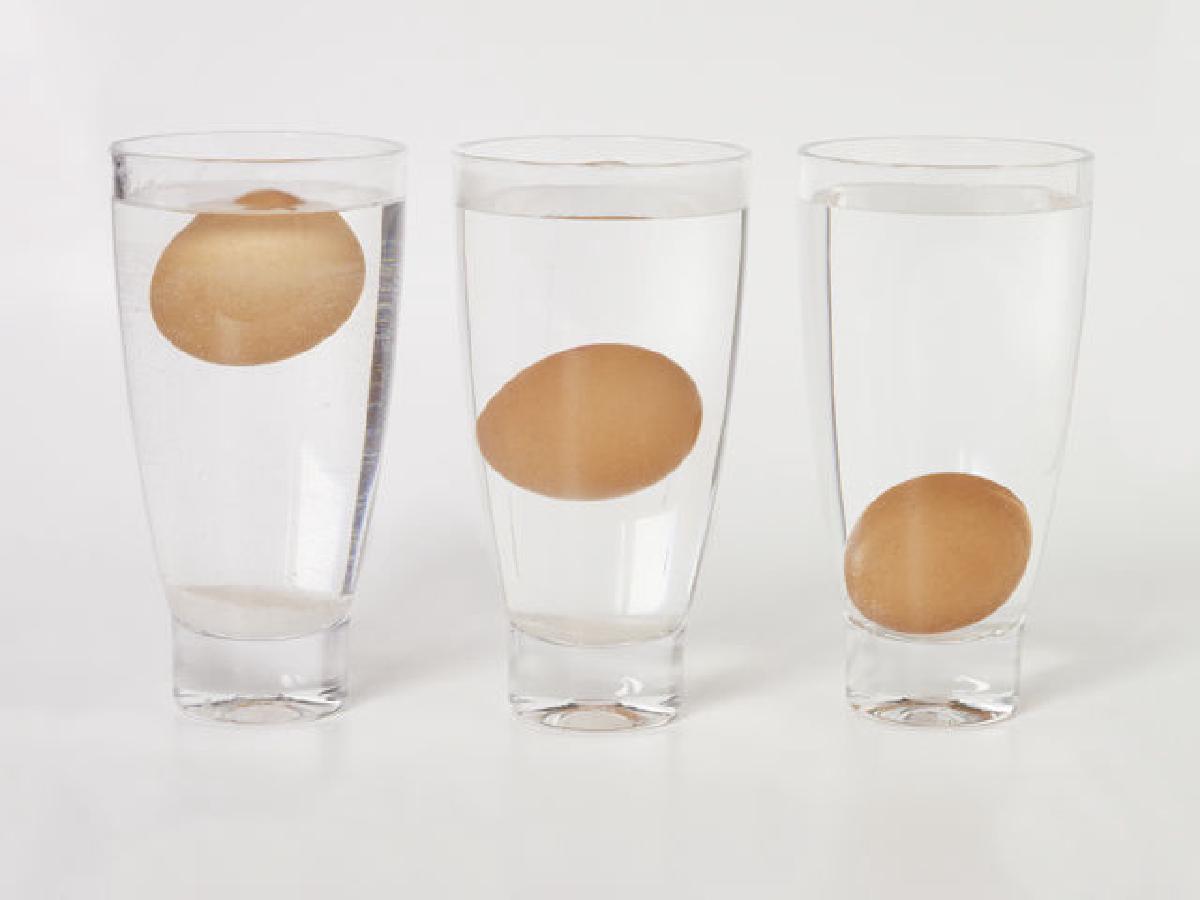 phân biệt trứng