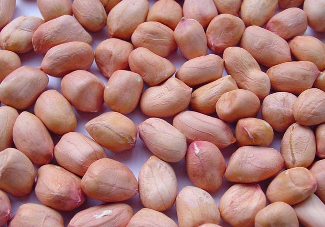 chế biến đậu phộng