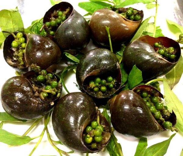 Ốc bươu nướng tiêu 2
