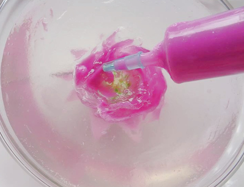 Chỉ một chiếc kim tiêm cũng có thể tạo hình hoa đặc sắc rồi.