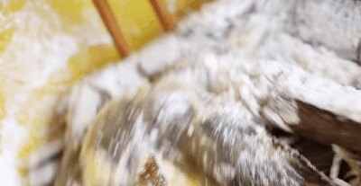 Tôm rang muối xưa rồi, giờ phải là tôm rang ngũ cốc mới thơm - Ảnh 3.