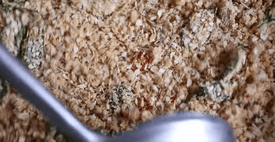 Tôm rang muối xưa rồi, giờ phải là tôm rang ngũ cốc mới thơm - Ảnh 7.