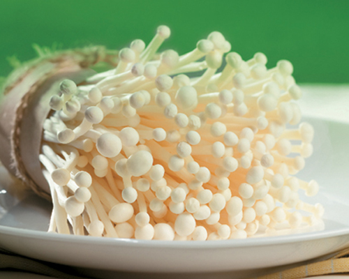 Tự trồng nấm kim châm tại nhà với bí kíp siêu đơn giản.