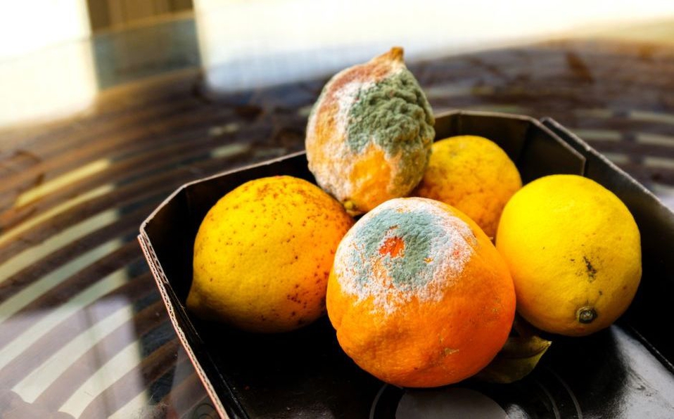 2 loại quả chính là "sát thủ" gây ung thư và còn nguy hiểm hơn rượu